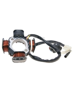 Stator 5 kablar 4 spolar-, TGB R50X 50, 101 50, 303R, Hawk 50, Acros 50, Delivery 50, Laser 50, mfl