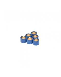Variatorvikter 17x13 6,0g