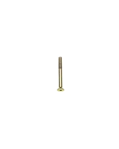 Skruv M5x45, kedjestyrare