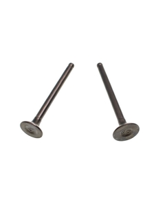Avgasventil + insugningsventil 68 mm-, Apollo Orion A30E50 A36A50M, Nordia RX50 SMX50