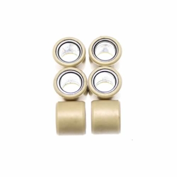 Variatorvikter 20x17 mm, vikt 12 gram-, Daelim NS 125, History 125