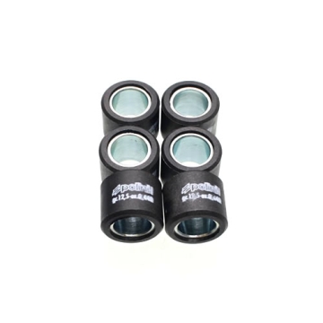 Variatorvikter 20x17 mm, vikt 12,5 gram-, Daelim NS 125, History 125